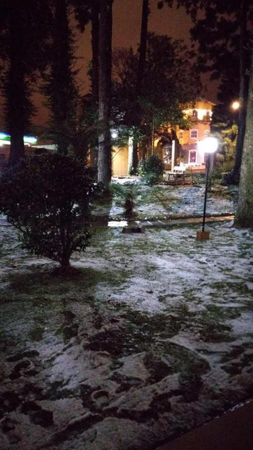 Apto Novo No Coracao De Gramado Eksteriør bilde